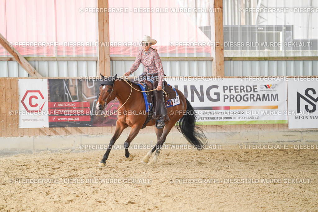 DSC01052 | Pferdegrafie