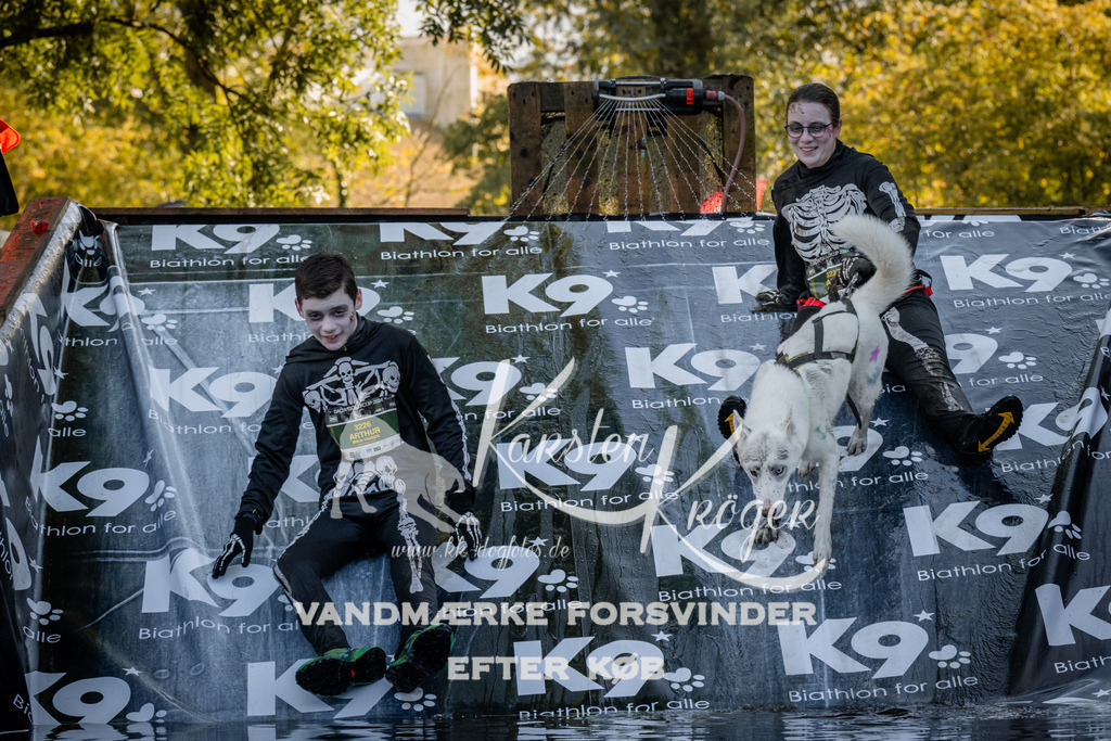 1430_ZZ93242 | kk-dogfotos