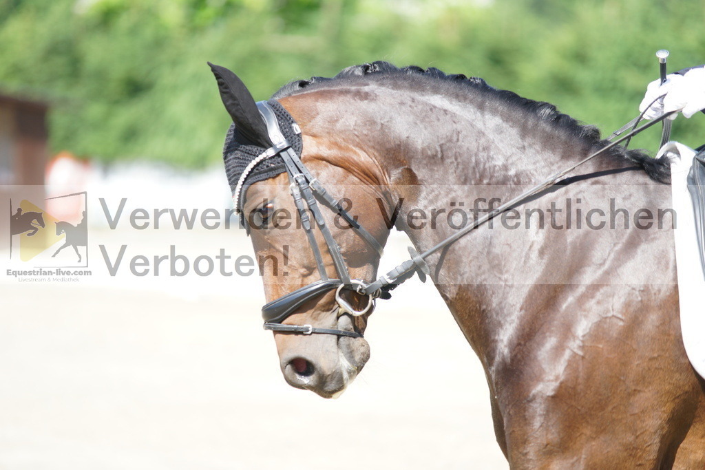 DSC01581 | equestrian-live-com