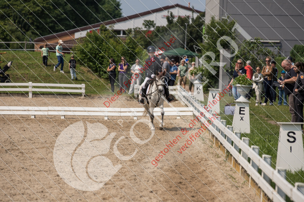 IMG_3236 | Sport-, Event- und Tierfotos in Profiqualität. Einfach auswählen, bestellen und herunterladen. Dein Moment – perfekt festgehalten.