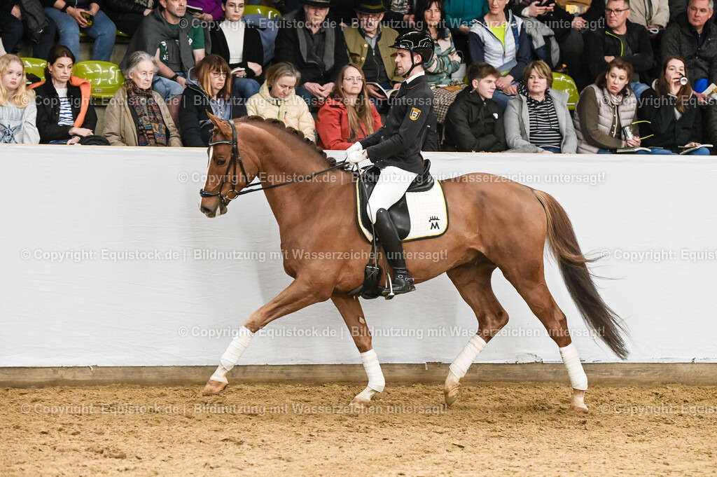 20260307_Hengstvorstellung-Marbach_0235 | equistock