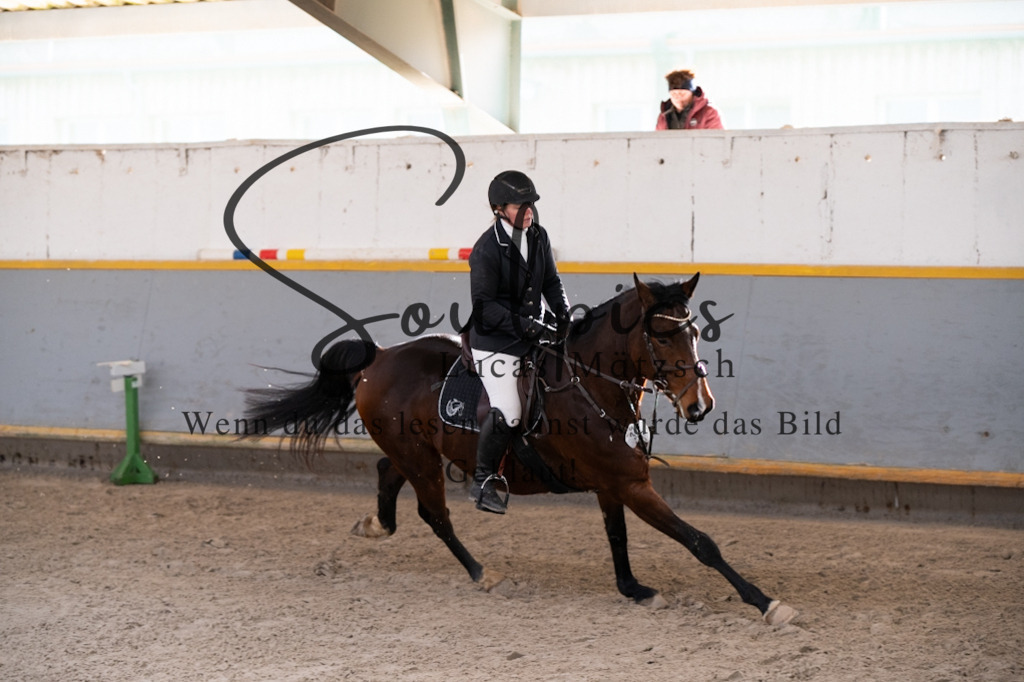 A7V02433 | Pferdefotograf