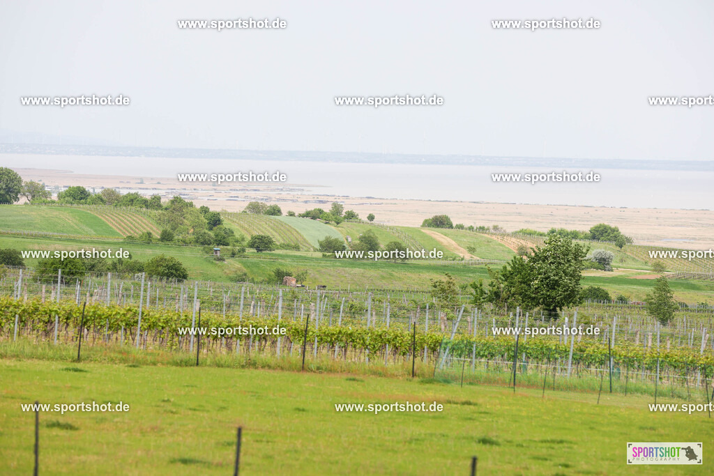 007A5615 | Neusiedler See Radmarathon 2025 #neusiedlerseeradmarathon #yourpictrs #sportshot_your_pictrs @Sportshotphotography Copyright:www.sportshot.de