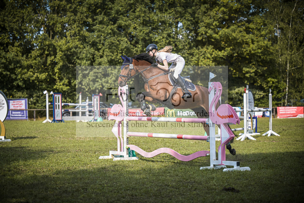 DOS_1461 | Entdecke hochwertige Reitturnierfotos von Foto Oger. Professionell, emotional und authentisch – jetzt Lieblingsmomente im Shop bestellen.Deutschlandweite Turnierfotografie. - Realisiert mit Pictrs.com