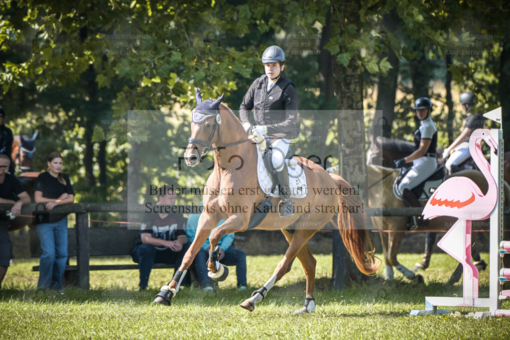 DOS_0111 | Entdecke hochwertige Reitturnierfotos von Foto Oger. Professionell, emotional und authentisch – jetzt Lieblingsmomente im Shop bestellen. - Realisiert mit Pictrs.com