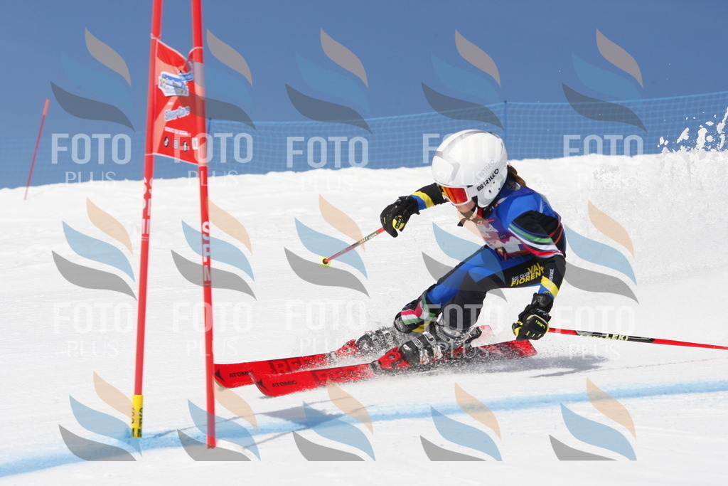 _W1G1312 | holidayphoto