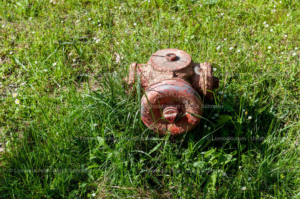 10049-1613 - Stadtpark Tangerhütte | Stockfoto und Bilderpool mit Bildmaterial aus Deutschland, dem Harz, Halberstadt, Quedlinburg, Wernigerode und weltweit. Qualitativ hochwertige und professionelle Fotos anschauen und kaufen. - Realisiert mit Pictrs.com