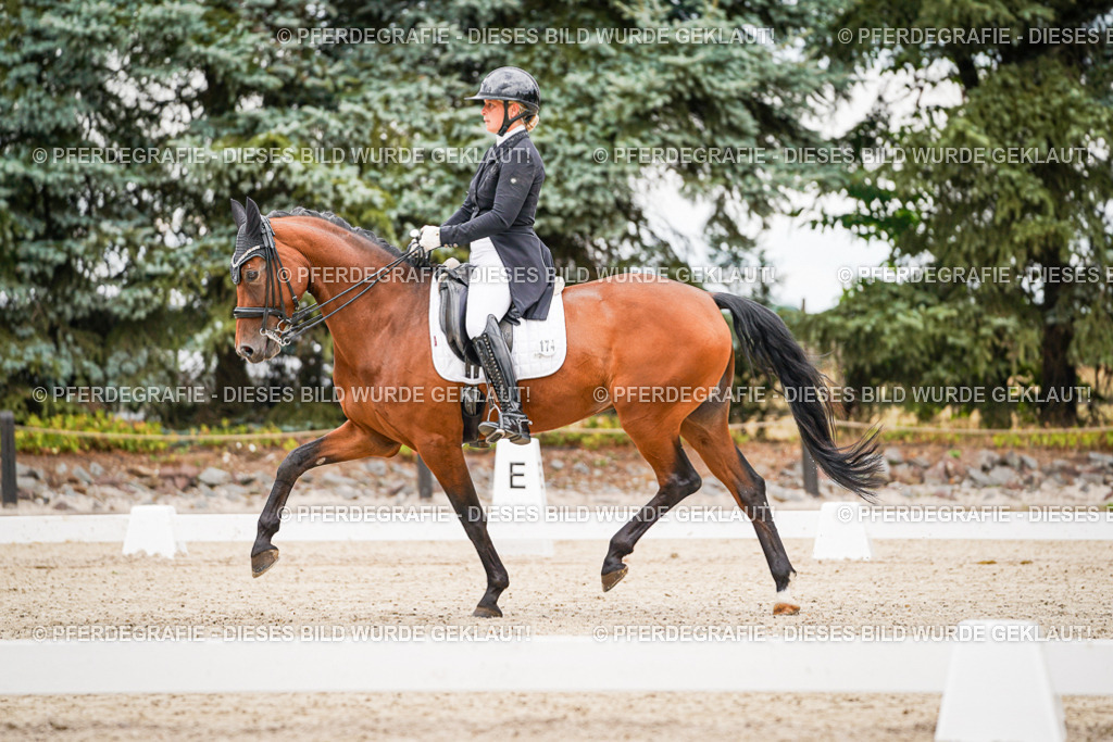 DSC07212 | Pferdegrafie