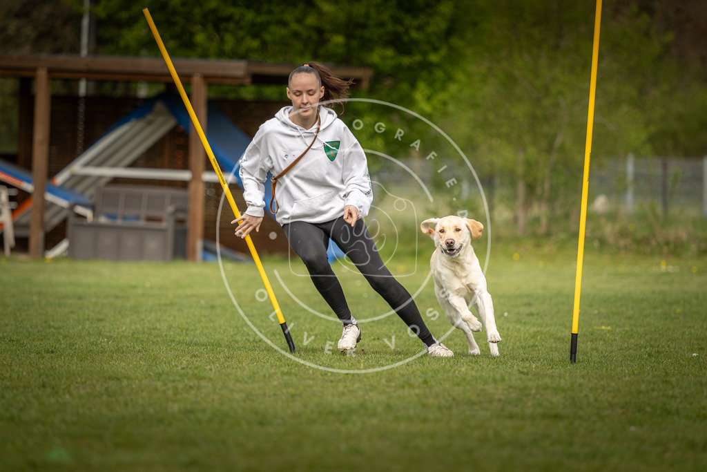 Pfotenfotografie_DV3A5185 | Hundefotografie, Tierfotograf, Pfotenfotografie, Fotoshooting Hund, Hunde Portrait, Hundesport, Hundeportraits, Heideshooting, Hunde, Sportfotograf, Hundefotograf, Turnierhundsport, THS,  - Realisiert mit Pictrs.com