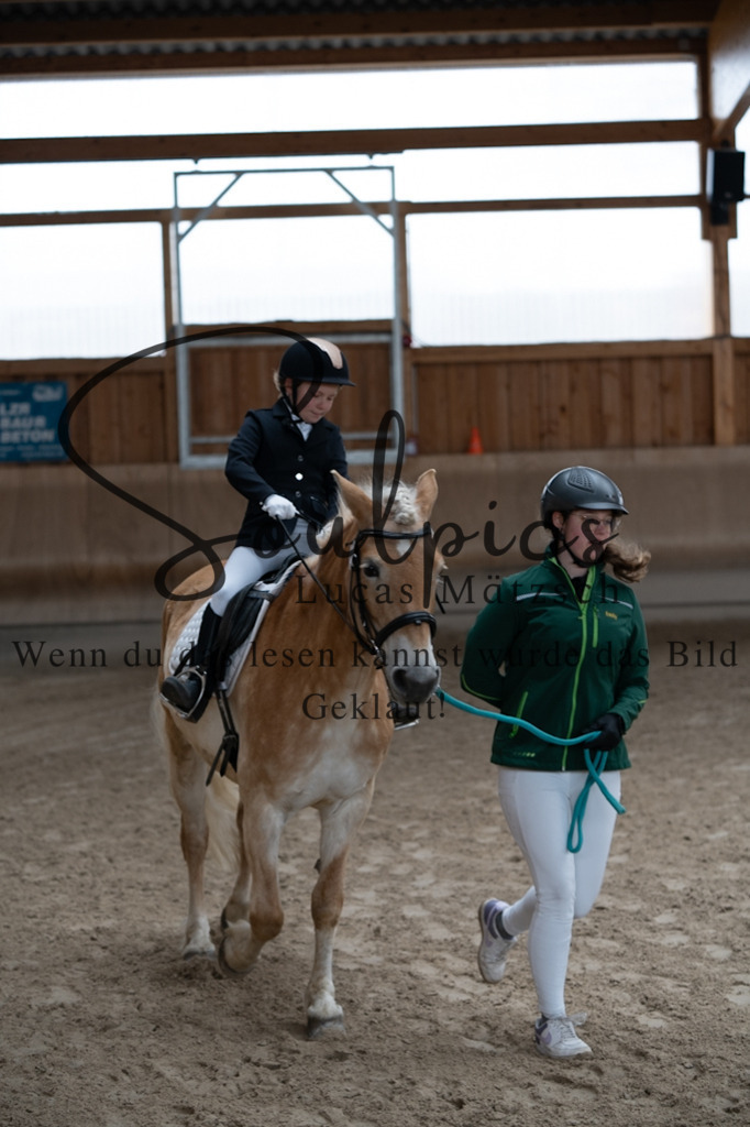 A7V09873 | Pferdefotograf