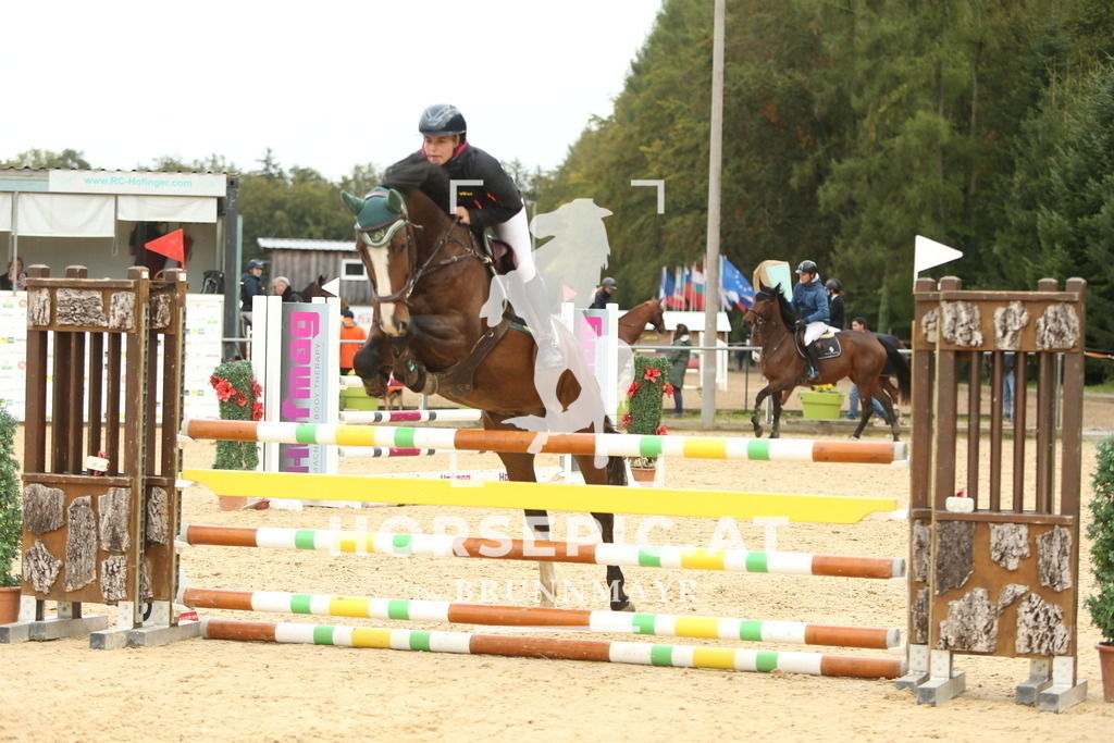 DL2Q2434 | Willkommen bei Brunnmayr - Design & Fotografie – Ihrem Spezialisten für Reitturniere und Pferdeveranstaltungen in Oberösterreich, Salzburg und Bayern! Seit über 17 Jahren sind wir leidenschaftlich dabei.