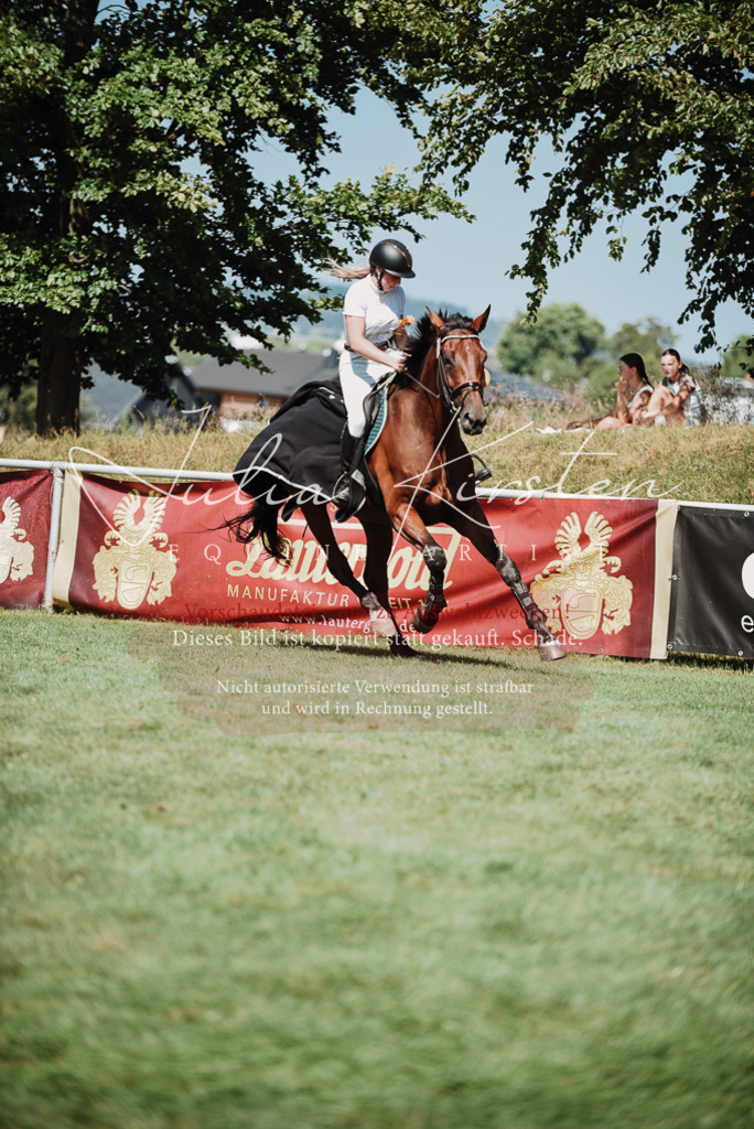 DSC_3362 | Pferde- und Turnierfotografie in Westsachsen. Pferdeportraits, Auftragszeichnungen und intuitive Kunst.