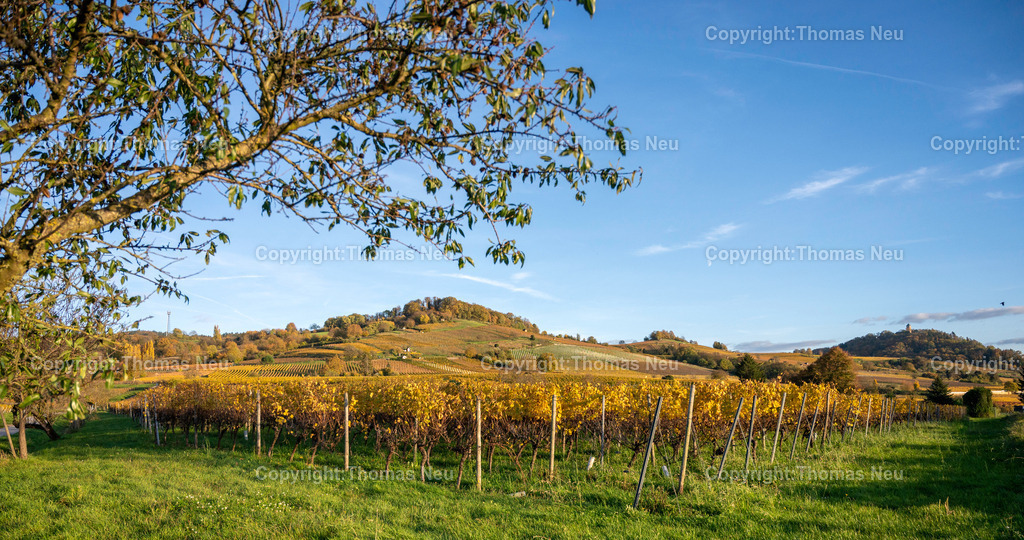 Goldener-Oktober_Weinberge-Bergstrasse-3 | bre,bbe, Golderner Oktober an der Hessischen Bergstraße, zwischen  Bensheim und Heppenheim mit bunt gefärbten Weinbergen, ,, Bild: Thomas Neu