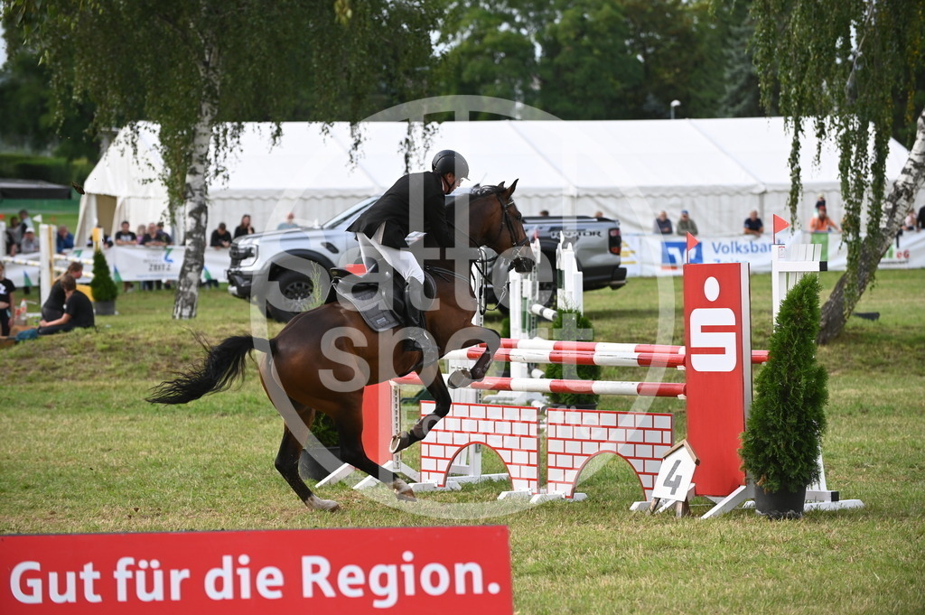 DSC_3066 | sattelsport - Realisiert mit Pictrs.com