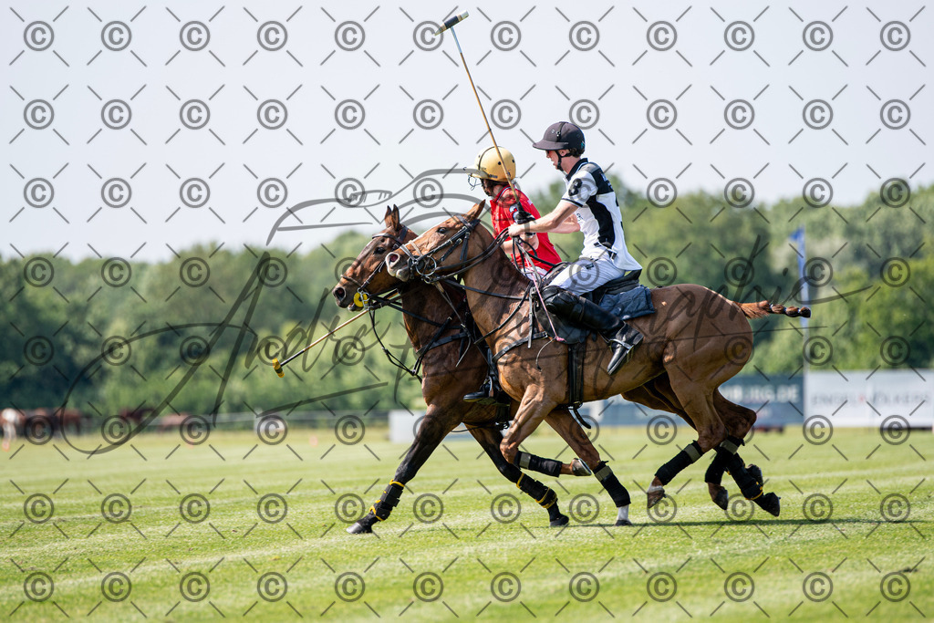 POL_2339 | andre_photographic