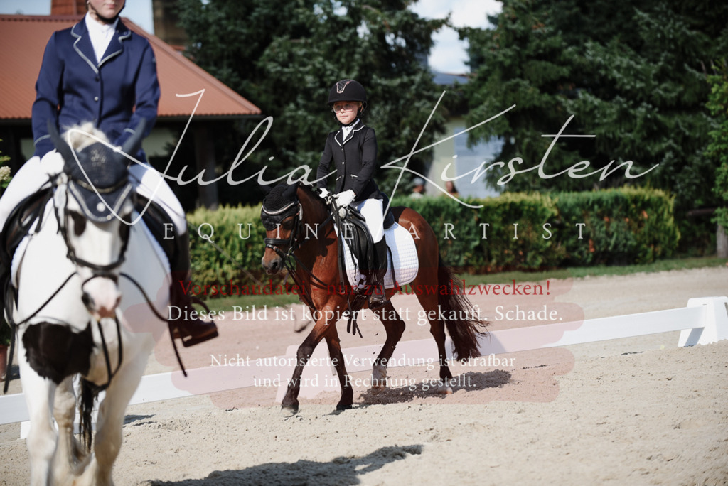 DSC_0080 | Pferde- und Turnierfotografie in Westsachsen. Pferdeportraits, Auftragszeichnungen und intuitive Kunst.