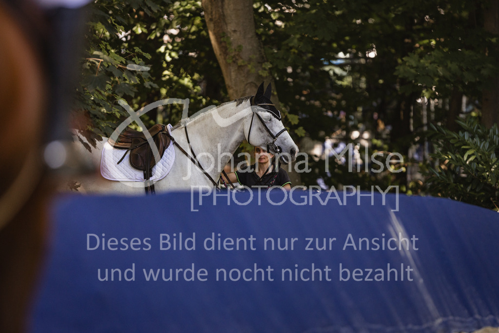 230907_OWLCh_Amateur-M-702 | Deine schönsten Turniermomente als professionelle Fotos! Entdecke hochwertige Pferdesport-Fotografie im Online-Shop. Jetzt Fotos finden & bestellen!