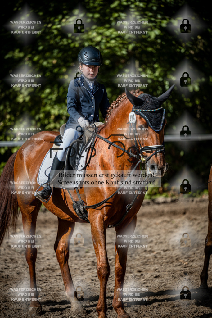 2026-10-Helle-20-4-0054 | Entdecke hochwertige Reitturnierfotos von Foto Oger. Professionell, emotional und authentisch – jetzt Lieblingsmomente im Shop bestellen.Deutschlandweite Turnierfotografie. - Realisiert mit Pictrs.com