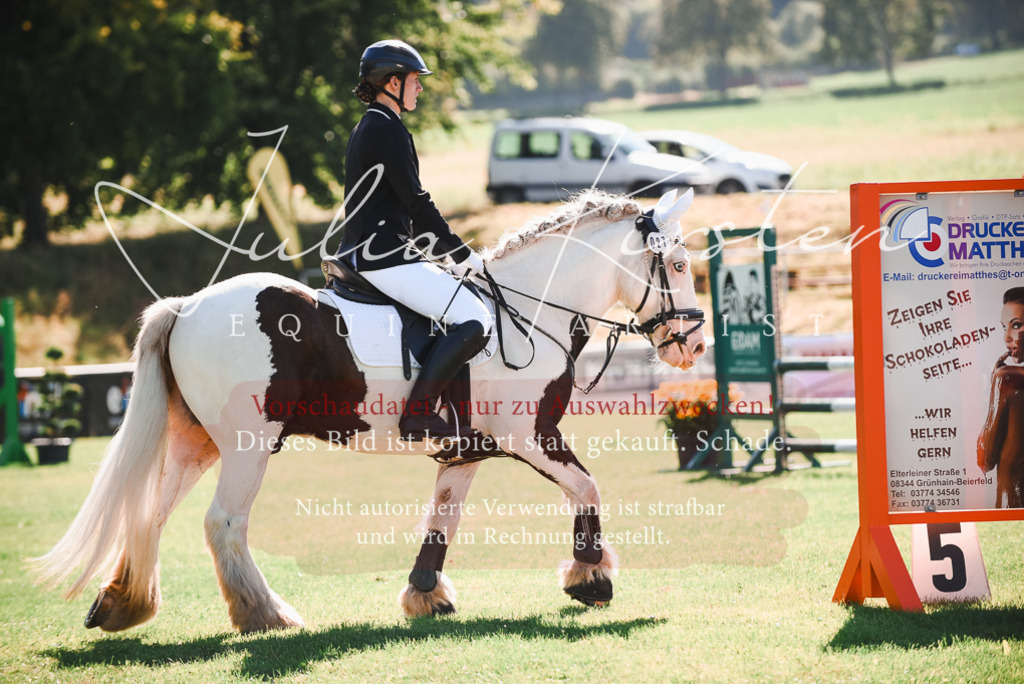 DSC_2582 | Pferde- und Turnierfotografie in Westsachsen. Pferdeportraits, Auftragszeichnungen und intuitive Kunst.