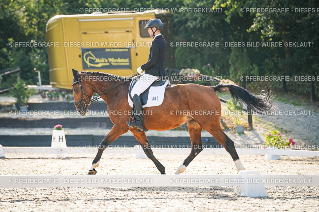 DSC08335 | Pferdegrafie