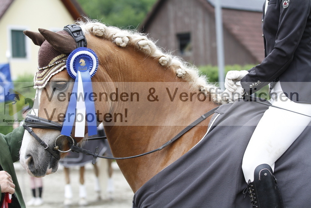 _MG_6982 | equestrian-live-com