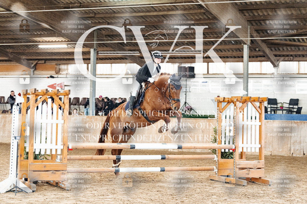 CK904082 | Turnierfotografie Pferdefotografie Trier Rheinland-Pfalz Pferdesport Reitsport Tierfotografie Sportfotografie Pferdevideo Pferdevideografie Equestrianvideography equestrianphotography  - Realized with Pictrs.com