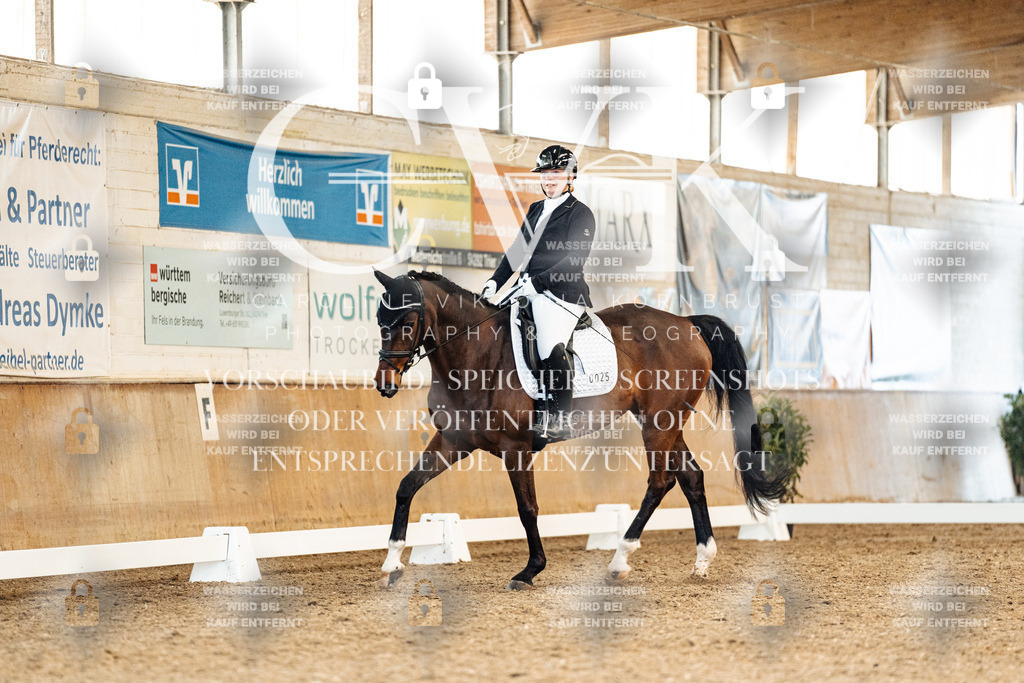 CK909369 | Turnierfotografie Pferdefotografie Trier Rheinland-Pfalz Pferdesport Reitsport Tierfotografie Sportfotografie Pferdevideo Pferdevideografie Equestrianvideography equestrianphotography  - Realisiert mit Pictrs.com