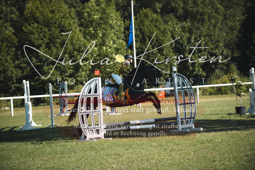 DSC_7676 | Pferde- und Turnierfotografie in Westsachsen. Pferdeportraits, Auftragszeichnungen und intuitive Kunst.