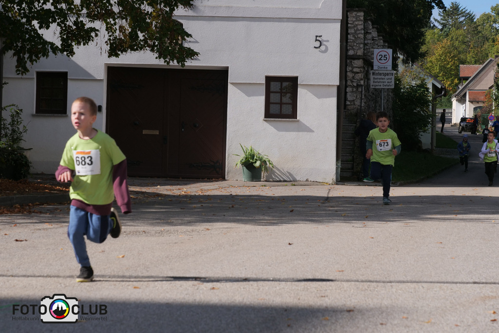 P1017496 | Foto Buchgraber