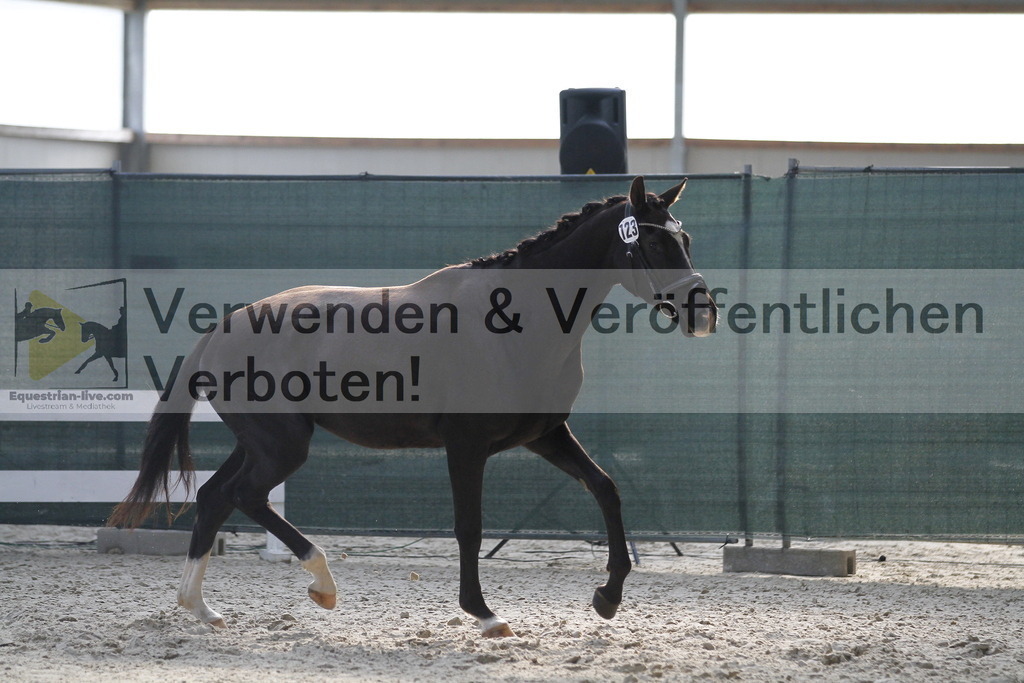 _MG_9608 | equestrian-live-com