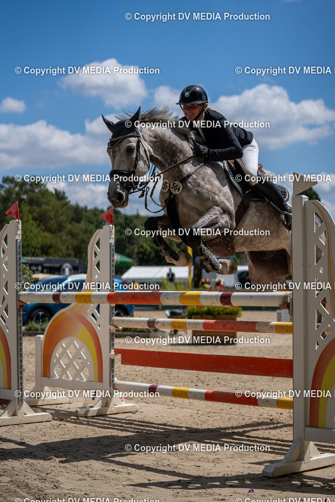 Hessische Tag 1-668 | dv-media-shop - Realisiert mit Pictrs.com