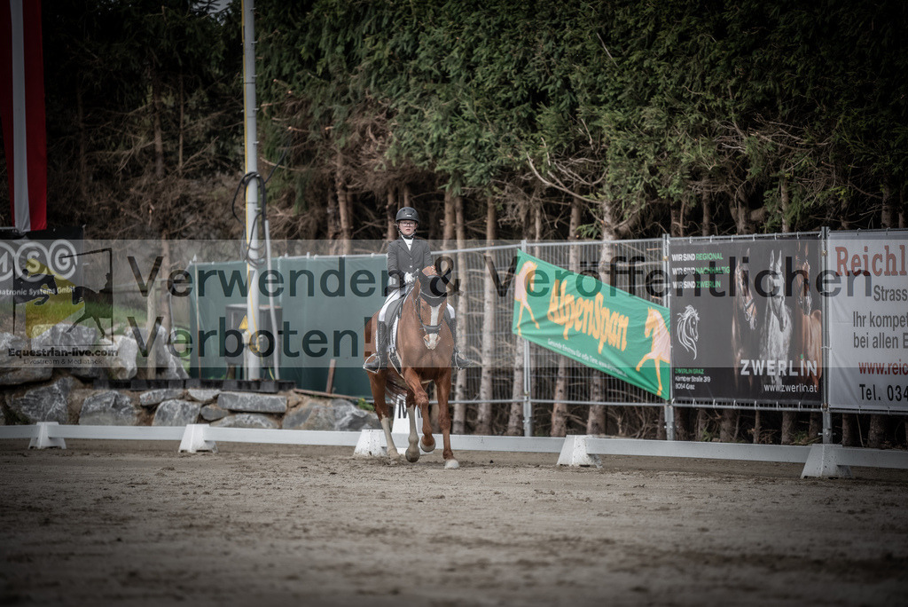 DSC_3262 | equestrian-live-com