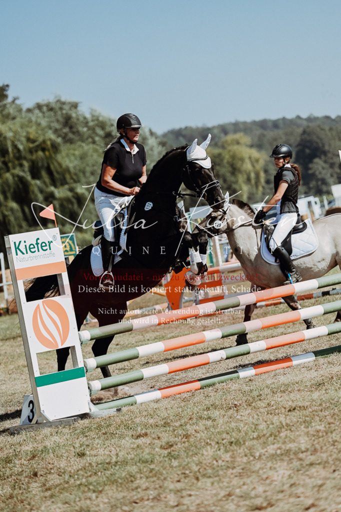 DSC_9726 | Pferde- und Turnierfotografie in Westsachsen. Pferdeportraits, Auftragszeichnungen und intuitive Kunst.