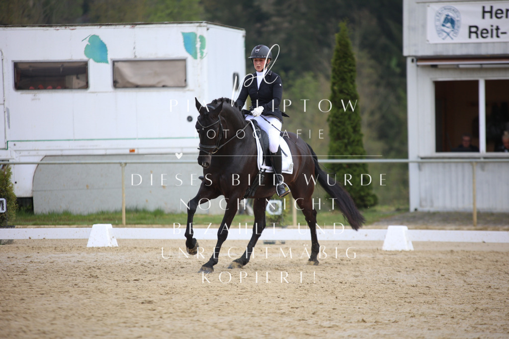 IMGT6213 | pl-fotografie