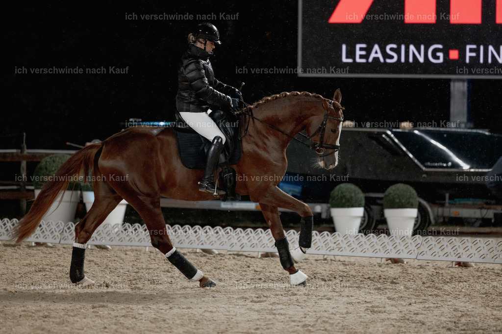FHClassics-13 | working equitationturnier fotograf videograf stoibphotography marixx film working equitation deutschland reitsport turnierfotografie eventfotografie equestrian events