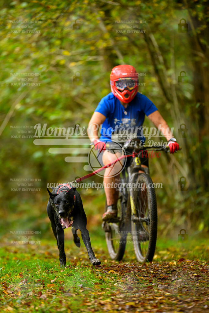 MompixPhotography_20TSB_E1_Doppel-21 | PayLife