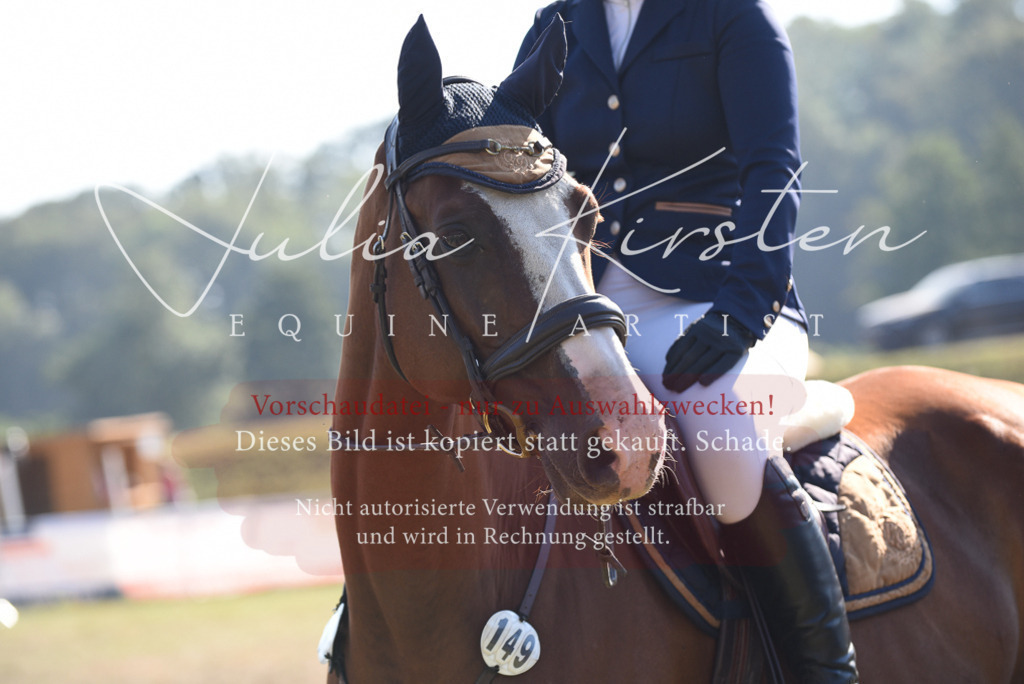 DSC_5475 | Pferde- und Turnierfotografie in Westsachsen. Pferdeportraits, Auftragszeichnungen und intuitive Kunst.