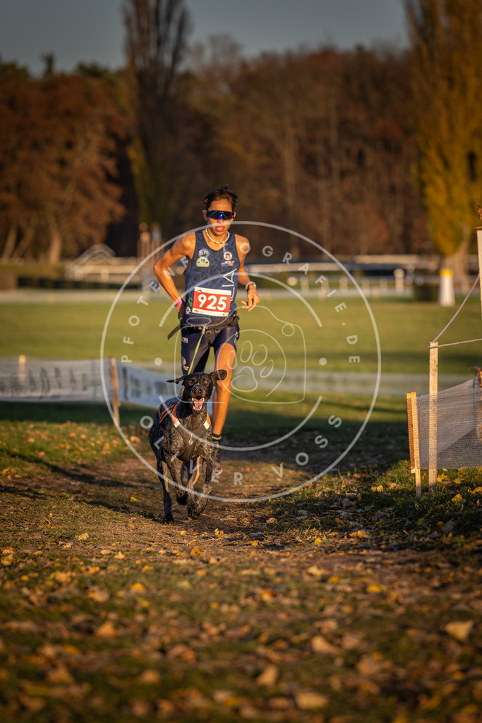 CaniXpix_DV3A5012 | Hundefotografie, Tierfotograf, Pfotenfotografie, Fotoshooting Hund, Hunde Portrait, Hundesport, Hundeportraits, Heideshooting, Hunde, Sportfotograf, Hundefotograf, Turnierhundsport, THS,  - Realisiert mit Pictrs.com