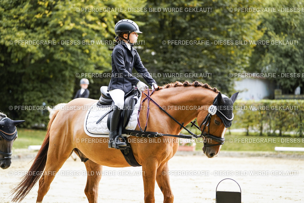 DSC05108 | Pferdegrafie