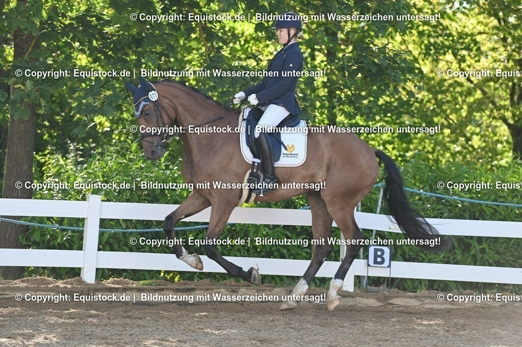 20230715_06_Dressurpferdeprfg. Kl.A_0217 | equistock