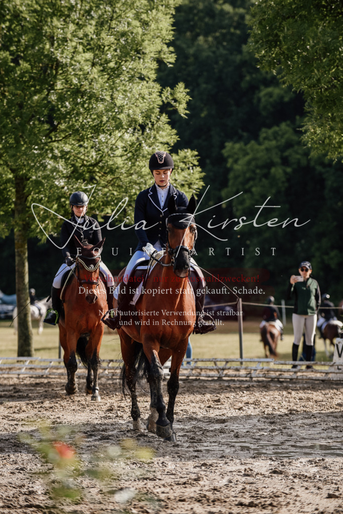 DSC_8465 | Pferde- und Turnierfotografie in Westsachsen. Pferdeportraits, Auftragszeichnungen und intuitive Kunst.