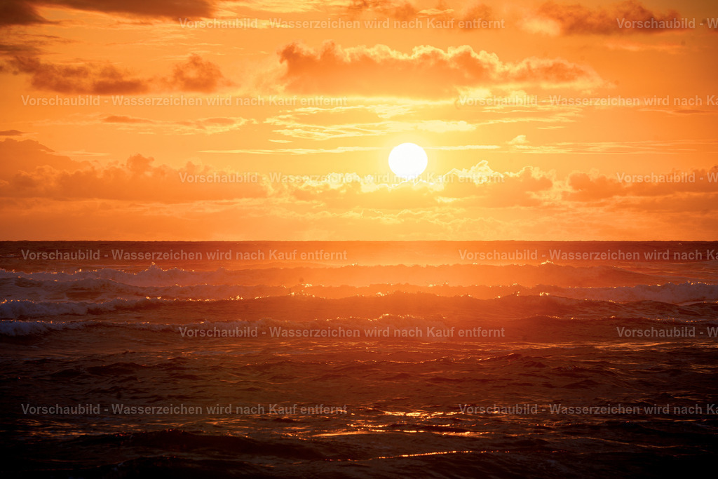 DSC02043 | marcuslinek