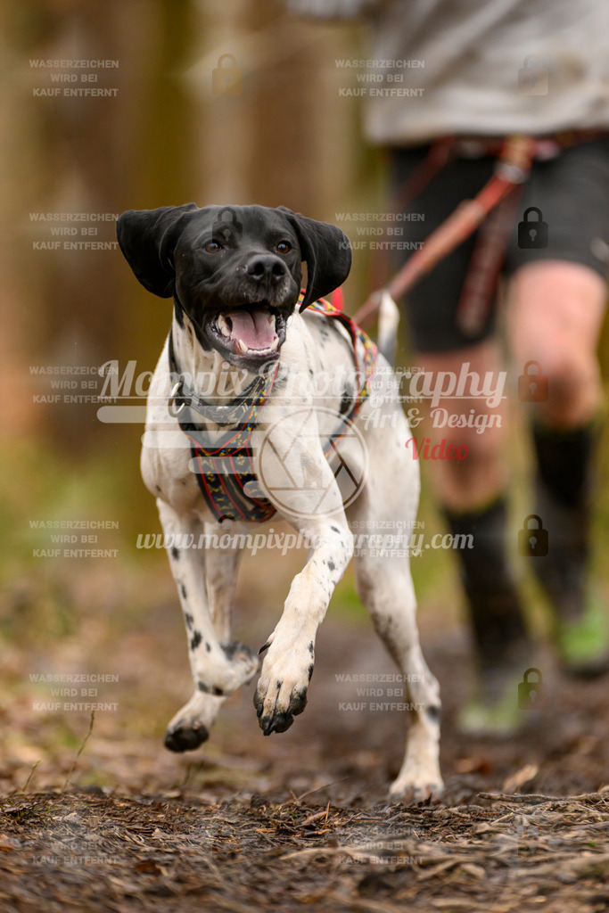 MompixPhotography_CDSM24_SA_Fun-30 | PayLife