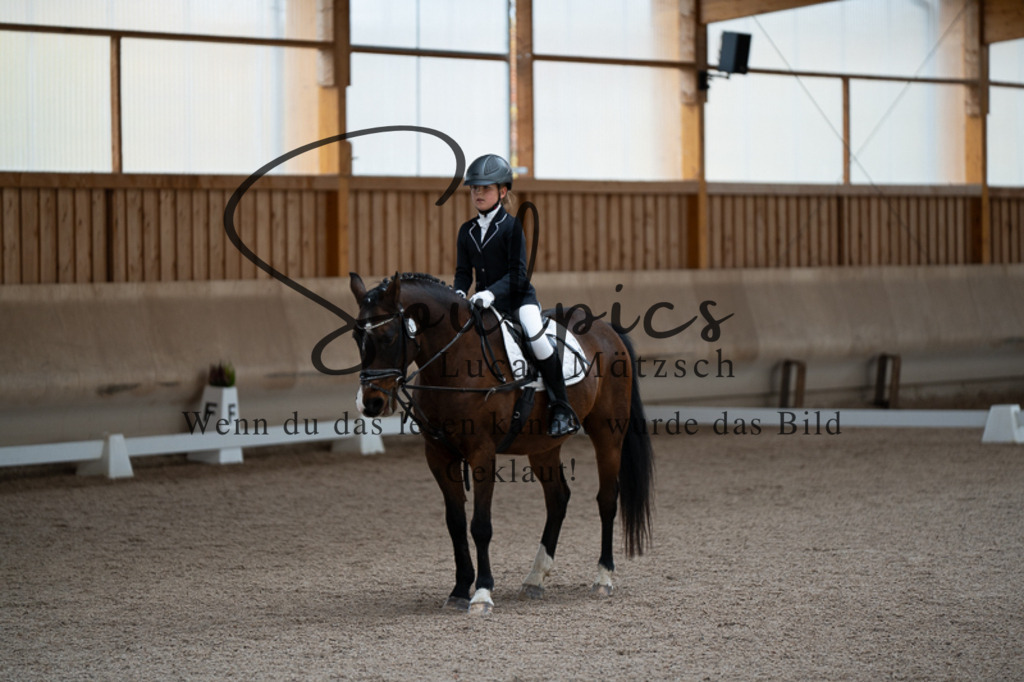 A7V02838 | Pferdefotograf