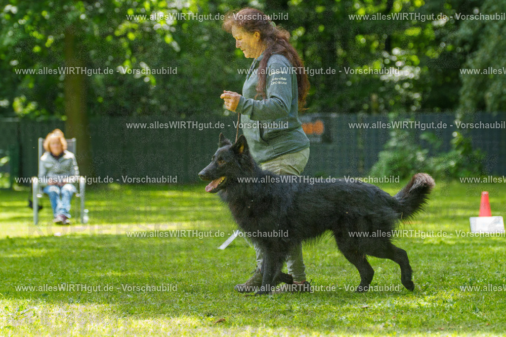 @allesWIRTHgut_Tierfotografie - www.allesWIRTHgut.de - 7R505666 | Professionelle Tierfotografie in Mönchengladbach von Daniel Wirth (allesWIRTHgut). Liebevolle & natürliche Bilder von Hunden & Katzen für unvergessliche Erinnerungen.