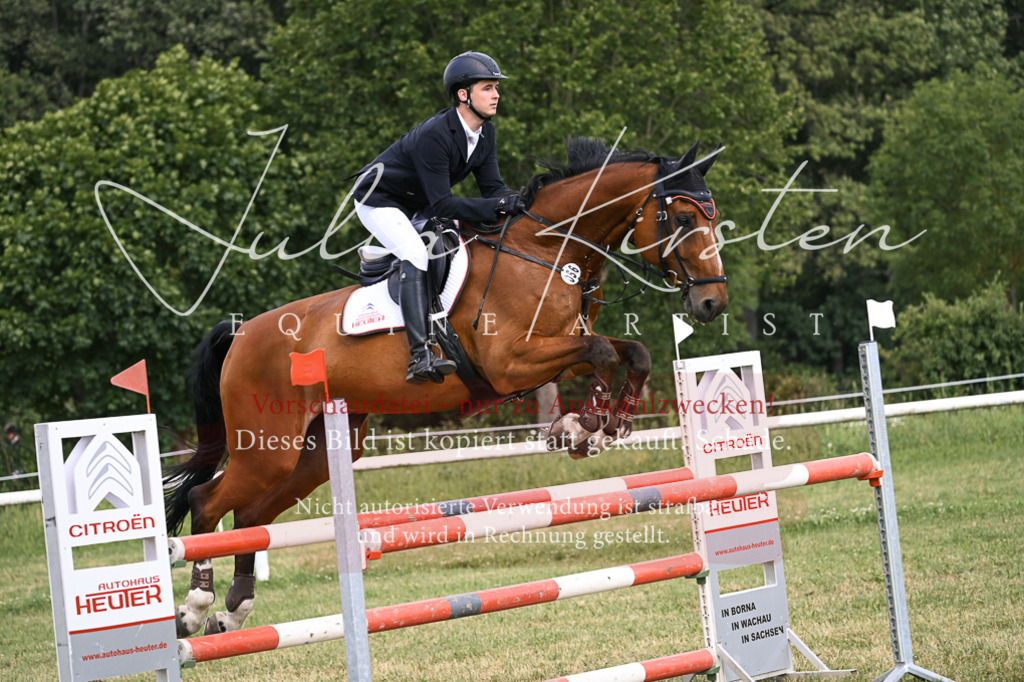 DSC_0999 | Pferde- und Turnierfotografie in Westsachsen. Pferdeportraits, Auftragszeichnungen und intuitive Kunst.