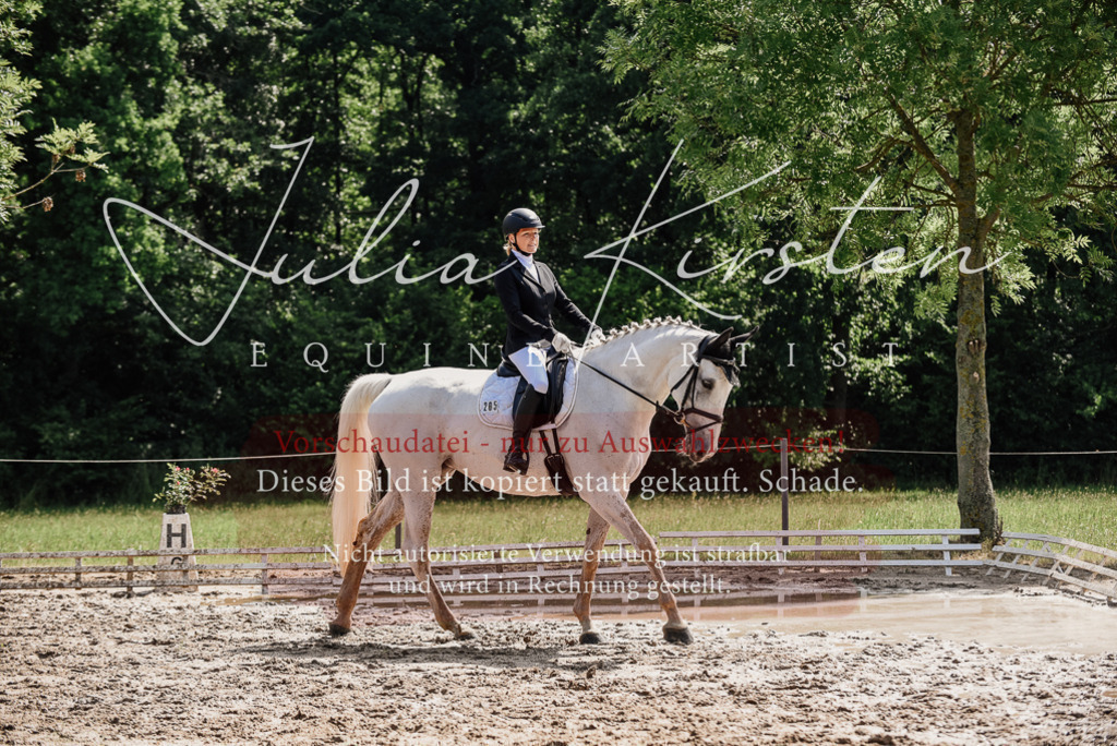DSC_0381 | Pferde- und Turnierfotografie in Westsachsen. Pferdeportraits, Auftragszeichnungen und intuitive Kunst.