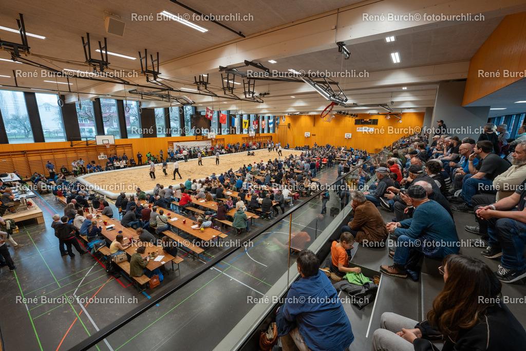 RB_09216-2 | René Burch leidenschaftlicher Fotograf aus Kerns in Obwalden.  Hier finden sie Sport, Landschaft und Natur Fotografie.
 - Realisiert mit Pictrs.com