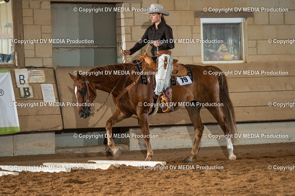 NID01625 | dv-media-shop - Realisiert mit Pictrs.com