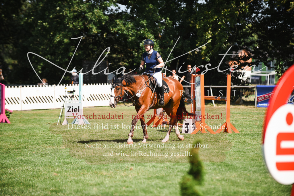 DSC_2804 | Pferde- und Turnierfotografie in Westsachsen. Pferdeportraits, Auftragszeichnungen und intuitive Kunst.